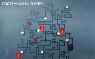 Правила выживания в джунглях