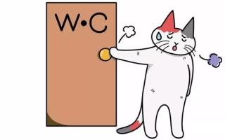 Что можно дать коту от поноса?