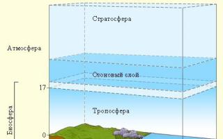 Что такое биосфера, каковы ее составные части и чем она отличается от других оболочек Земли?