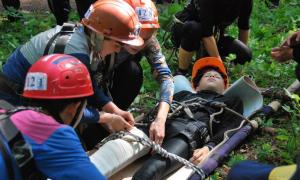 Наложение шин при переломах различных костей Какие суставы подлежат фиксации при переломе бедра